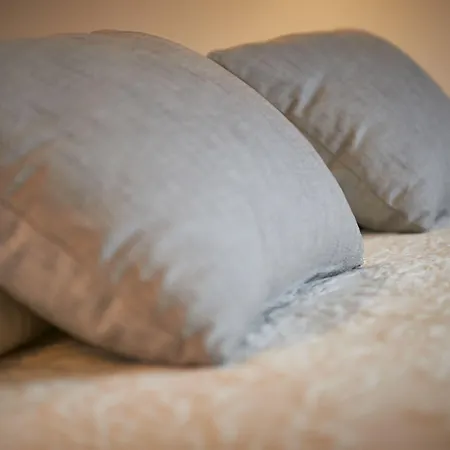 ヒポテルス プラヤ デ パルマ パレス＆スパ 5*