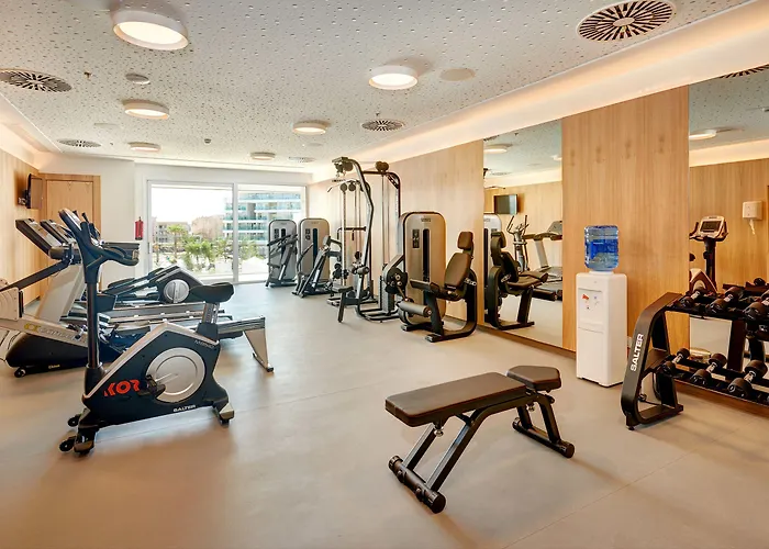 Hipotels Palace&spa (adults Only)